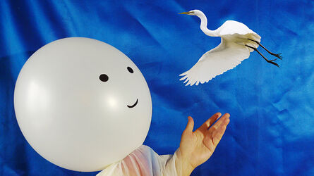 KOTUKU AND THE MOON CHILD